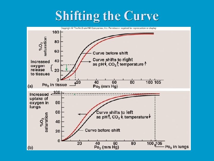 Shifting the Curve Shifting the Curve