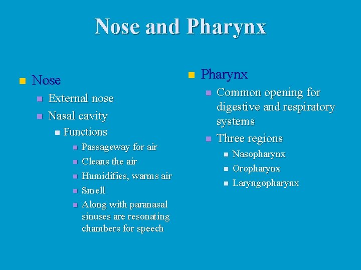 Nose and Pharynx n n Nose n n External nose Nasal cavity n Functions Nose and Pharynx n n Nose n n External nose Nasal cavity n Functions