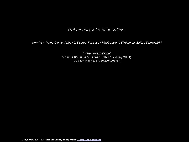 Rat mesangial α-endosulfine Jerry Yee, Pedro Cortes, Jeffrey L. Barnes, Rebecca Alviani, Jason I.