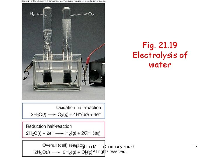 Fig. 21. 19 Electrolysis of water Houghton Mifflin Company and G. Hall. All rights
