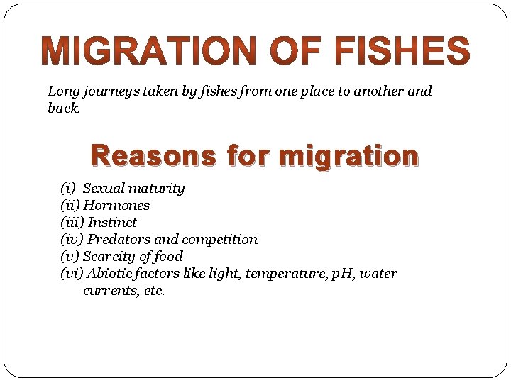 Long journeys taken by fishes from one place to another and back. Reasons for