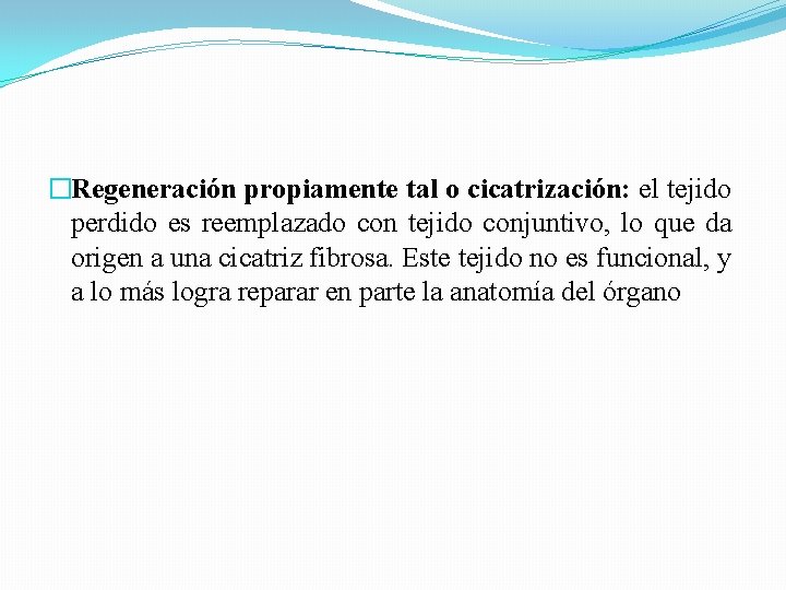 �Regeneración propiamente tal o cicatrización: el tejido perdido es reemplazado con tejido conjuntivo, lo