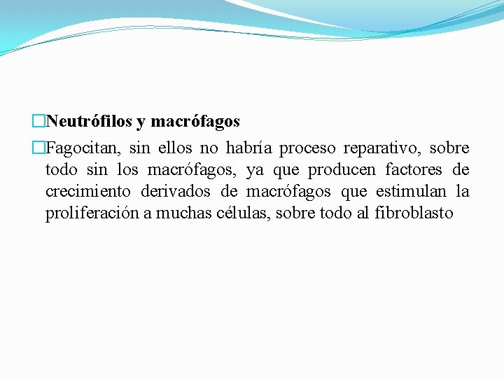 �Neutrófilos y macrófagos �Fagocitan, sin ellos no habría proceso reparativo, sobre todo sin los