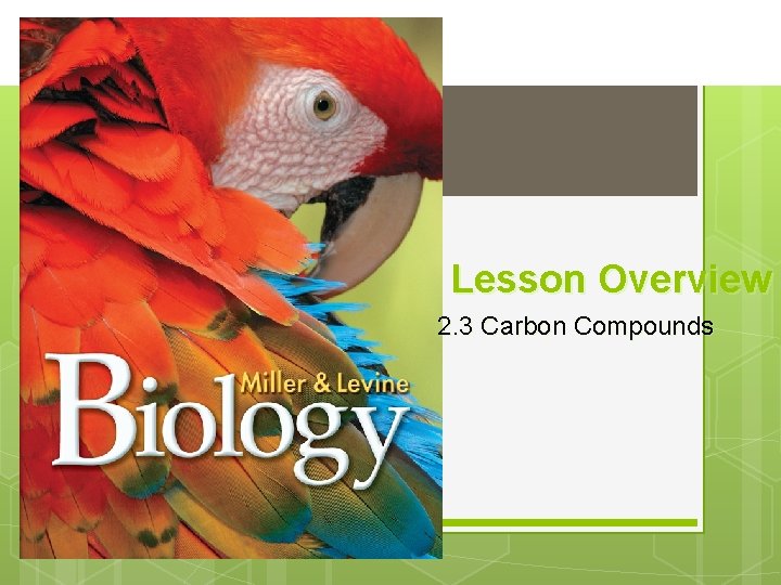 Lesson Overview 2. 3 Carbon Compounds 