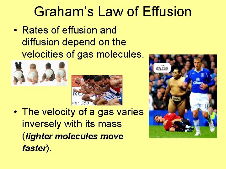 Graham’s Law of Effusion • Rates of effusion and diffusion depend on the velocities