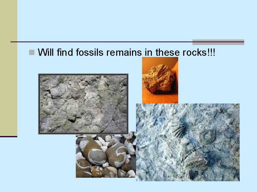 n Will find fossils remains in these rocks!!! n Will find fossils remains in these rocks!!!