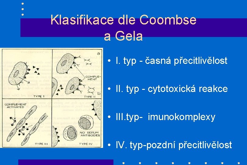 Klasifikace dle Coombse a Gela • I. typ - časná přecitlivělost • II. typ