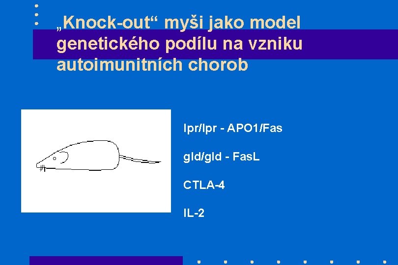 „Knock-out“ myši jako model genetického podílu na vzniku autoimunitních chorob lpr/lpr - APO 1/Fas