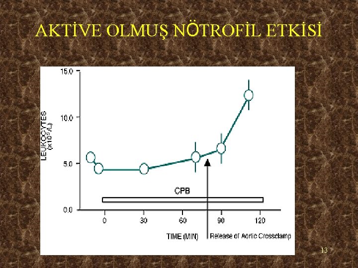 AKTİVE OLMUŞ NÖTROFİL ETKİSİ 13 