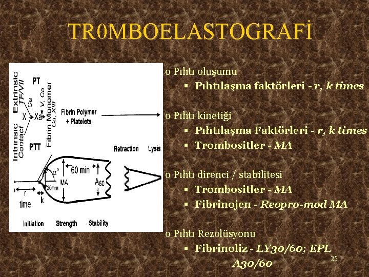 TR 0 MBOELASTOGRAFİ o Pıhtı oluşumu § Pıhtılaşma faktörleri - r, k times o