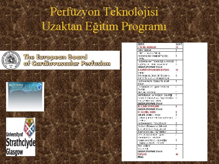 Perfüzyon Teknolojisi Uzaktan Eğitim Programı 48 