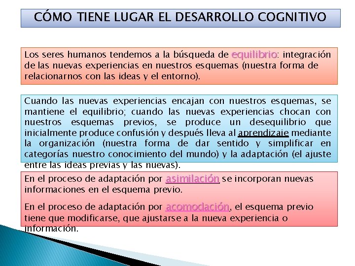 CÓMO TIENE LUGAR EL DESARROLLO COGNITIVO Los seres humanos tendemos a la búsqueda de