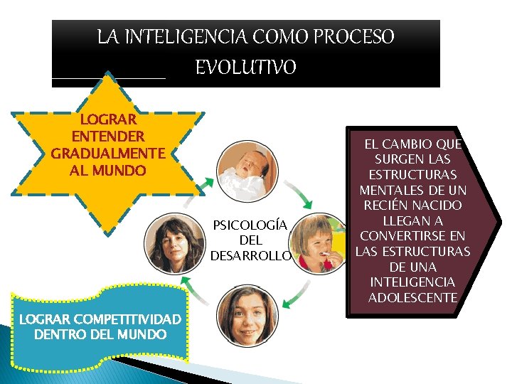 LA INTELIGENCIA COMO PROCESO EVOLUTIVO LOGRAR ENTENDER GRADUALMENTE AL MUNDO PSICOLOGÍA DEL DESARROLLO LOGRAR