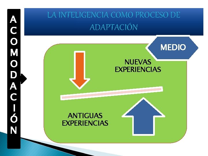 A C O M O D A C I Ó N LA INTELIGENCIA COMO