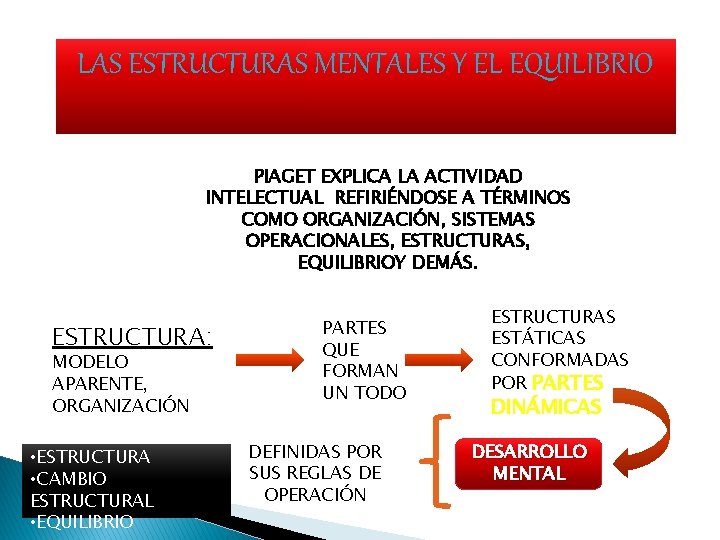 LAS ESTRUCTURAS MENTALES Y EL EQUILIBRIO PIAGET EXPLICA LA ACTIVIDAD INTELECTUAL REFIRIÉNDOSE A TÉRMINOS