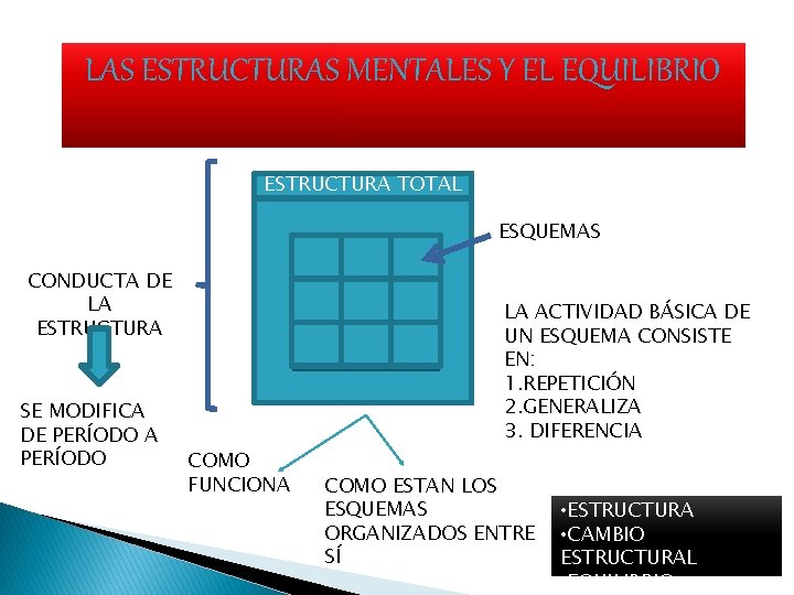 LAS ESTRUCTURAS MENTALES Y EL EQUILIBRIO ESTRUCTURA TOTAL ESQUEMAS CONDUCTA DE LA ESTRUCTURA SE