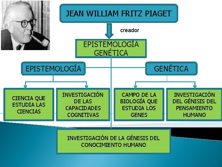 JEAN WILLIAM FRITZ PIAGET creador EPISTEMOLOGÍA GENÉTICA EPISTEMOLOGÍA CIENCIA QUE ESTUDIA LAS CIENCIAS INVESTIGACIÓN