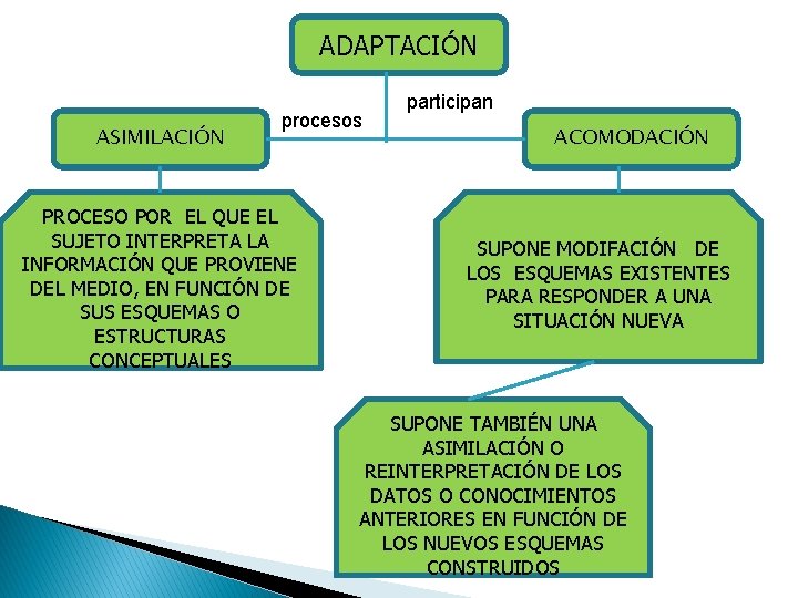 ADAPTACIÓN ASIMILACIÓN procesos PROCESO POR EL QUE EL SUJETO INTERPRETA LA INFORMACIÓN QUE PROVIENE