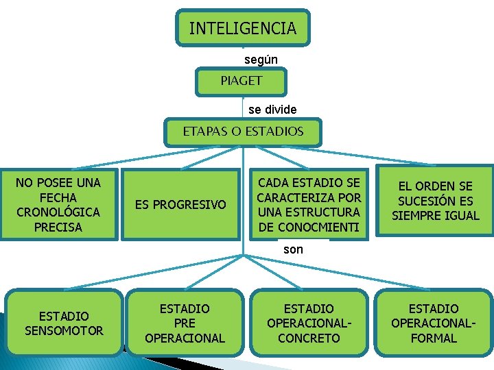 INTELIGENCIA según PIAGET se divide ETAPAS O ESTADIOS NO POSEE UNA FECHA CRONOLÓGICA PRECISA