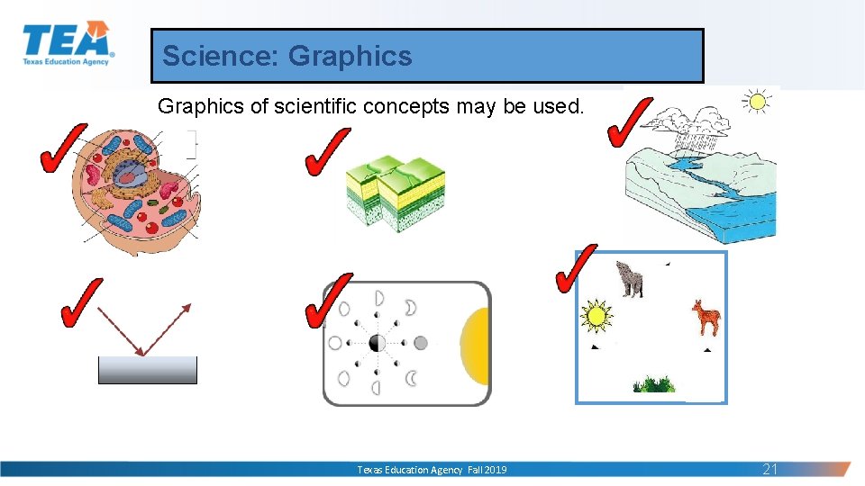 Science: Graphics of scientific concepts may be used. Texas Education Agency Fall 2019 21