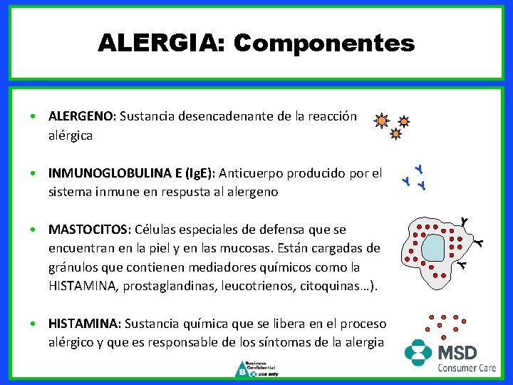 ALERGIA: Componentes • ALERGENO: Sustancia desencadenante de la reacción alérgica • INMUNOGLOBULINA E (Ig.