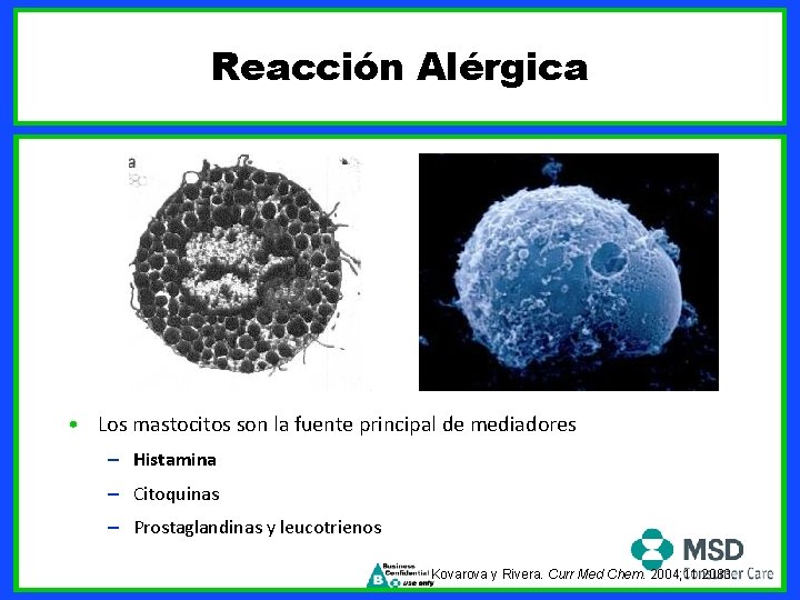 Reacción Alérgica • Los mastocitos son la fuente principal de mediadores – Histamina –
