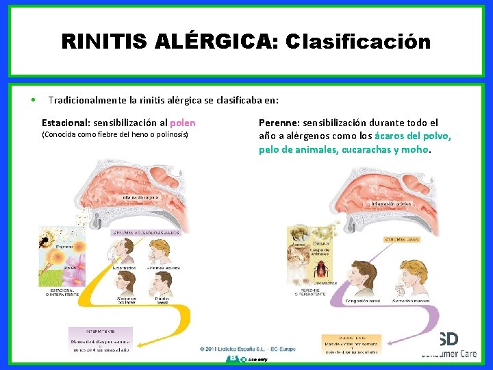 RINITIS ALÉRGICA: Clasificación • Tradicionalmente la rinitis alérgica se clasificaba en: Estacional: sensibilización al