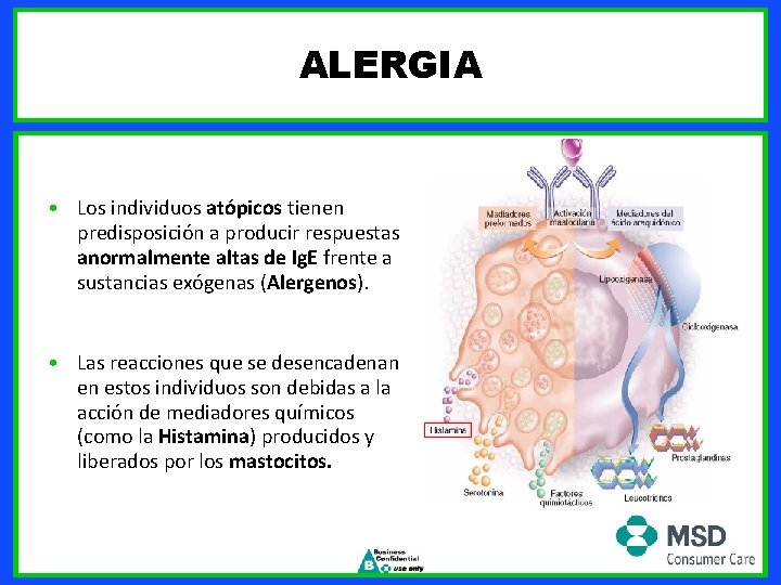 ALERGIA • Los individuos atópicos tienen predisposición a producir respuestas anormalmente altas de Ig.