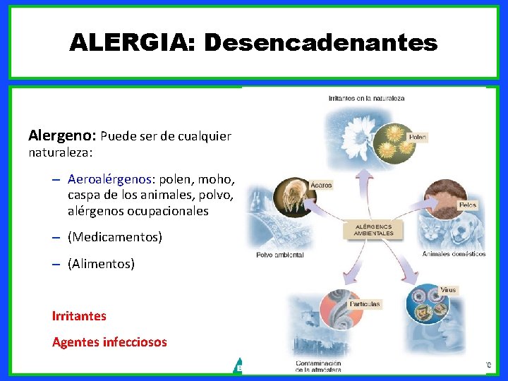 ALERGIA: Desencadenantes Alergeno: Puede ser de cualquier naturaleza: – Aeroalérgenos: polen, moho, caspa de