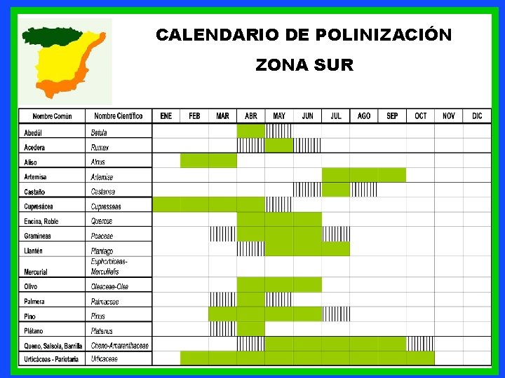 CALENDARIO DE POLINIZACIÓN ZONA SUR 