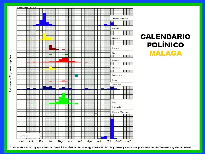 CALENDARIO POLÍNICO MÁLAGA Grafica obtenida de la pagina Web del Comité Español de Aerobiología