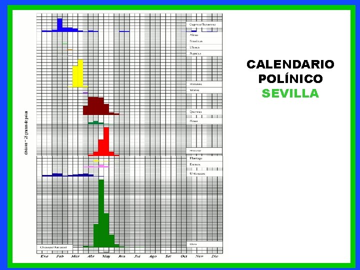 CALENDARIO POLÍNICO SEVILLA 