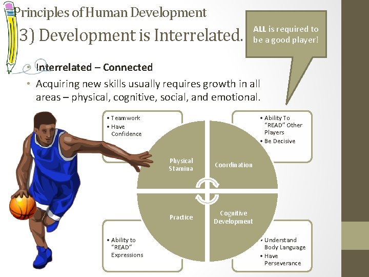 Principles of Human Development 3) Development is Interrelated. ALL is required to be a