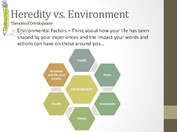 Heredity vs. Environment Theories of Development • Environmental Factors – Think about how your