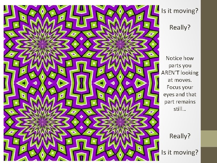 Is it moving? Really? Notice how parts you AREN’T looking at moves. Focus your