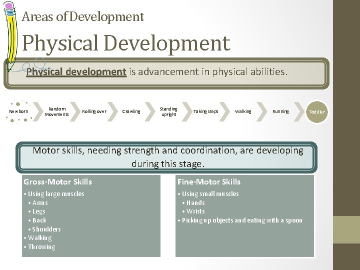 Areas of Development Physical development is advancement in physical abilities. development Newborn Random Movements