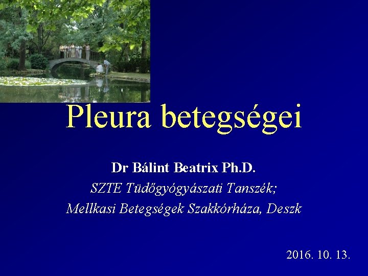 Pleura betegségei Dr Bálint Beatrix Ph. D. SZTE Tüdőgyógyászati Tanszék; Mellkasi Betegségek Szakkórháza, Deszk
