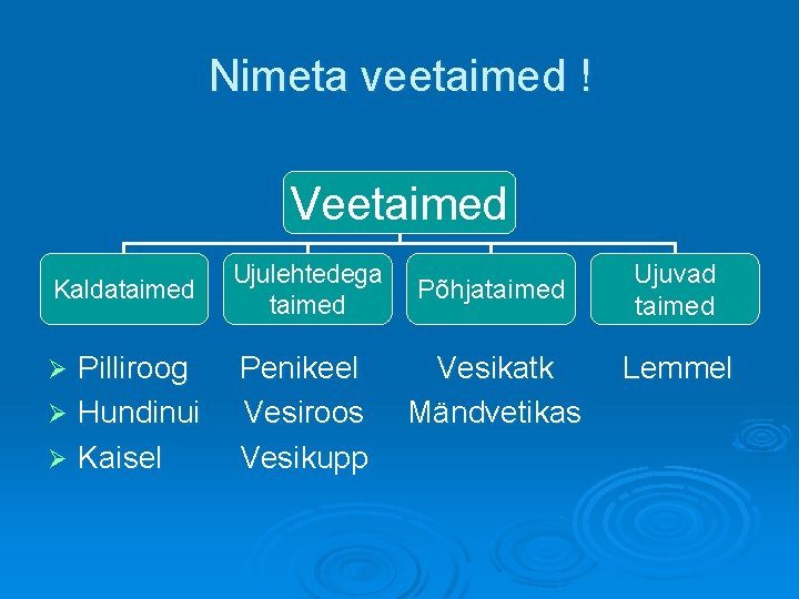 Nimeta veetaimed ! Veetaimed Kaldataimed Ujulehtedega taimed Põhjataimed Ujuvad taimed Pilliroog Penikeel Vesikatk Lemmel