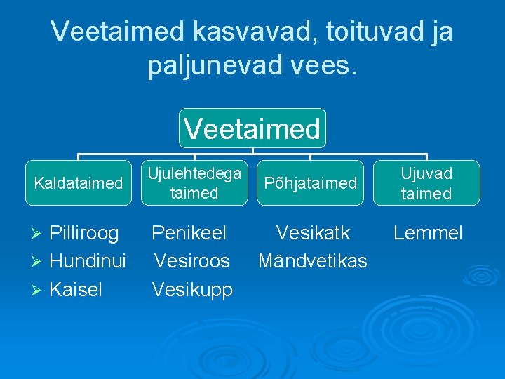 Veetaimed kasvavad, toituvad ja paljunevad vees. Veetaimed Kaldataimed Ujulehtedega taimed Põhjataimed Ujuvad taimed Pilliroog