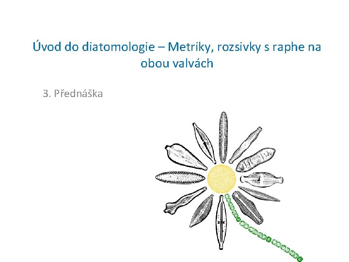 Úvod do diatomologie – Metriky, rozsivky s raphe na obou valvách 3. Přednáška 