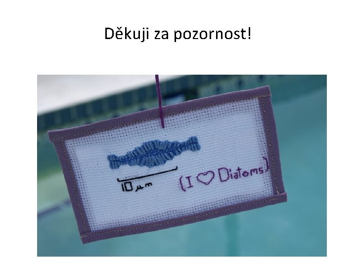 Děkuji za pozornost! 