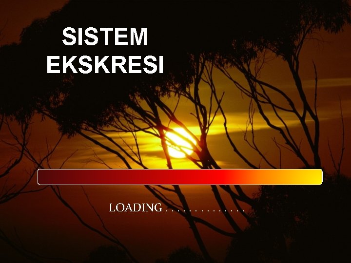 SISTEM EKSKRESI LOADING. . . 