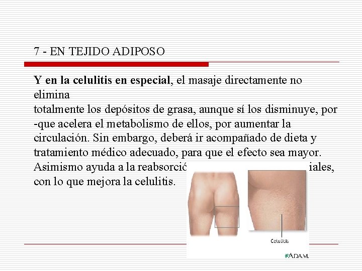 7 - EN TEJIDO ADIPOSO Y en la celulitis en especial, el masaje directamente