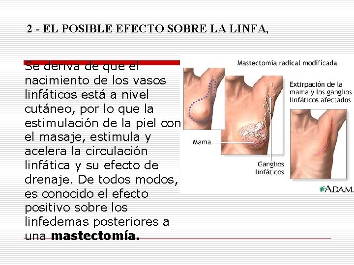 2 - EL POSIBLE EFECTO SOBRE LA LINFA, Se deriva de que el nacimiento