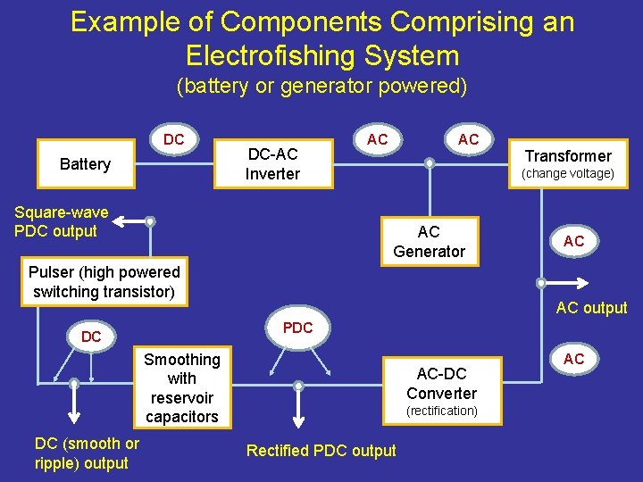 Example of Components Comprising an Electrofishing System (battery or generator powered) DC Battery DC-AC