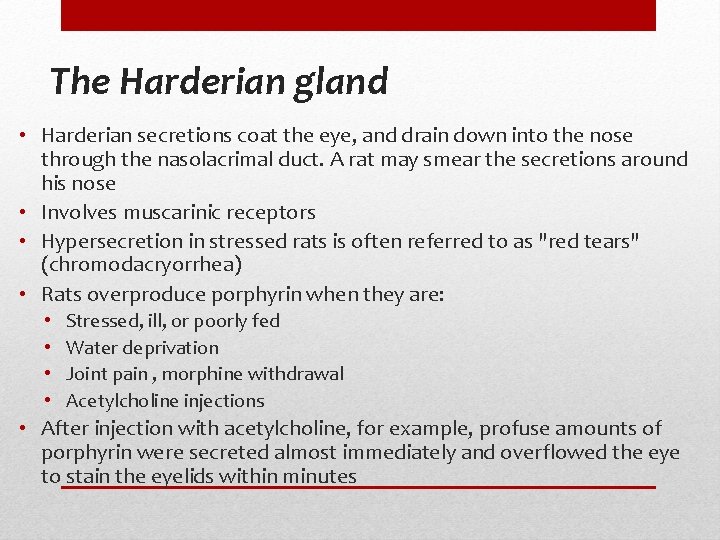 The Harderian gland • Harderian secretions coat the eye, and drain down into the