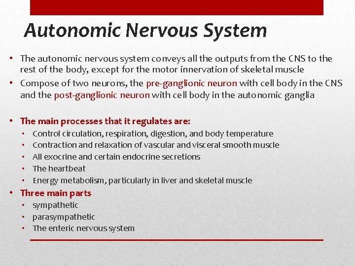 Autonomic Nervous System • The autonomic nervous system conveys all the outputs from the Autonomic Nervous System • The autonomic nervous system conveys all the outputs from the