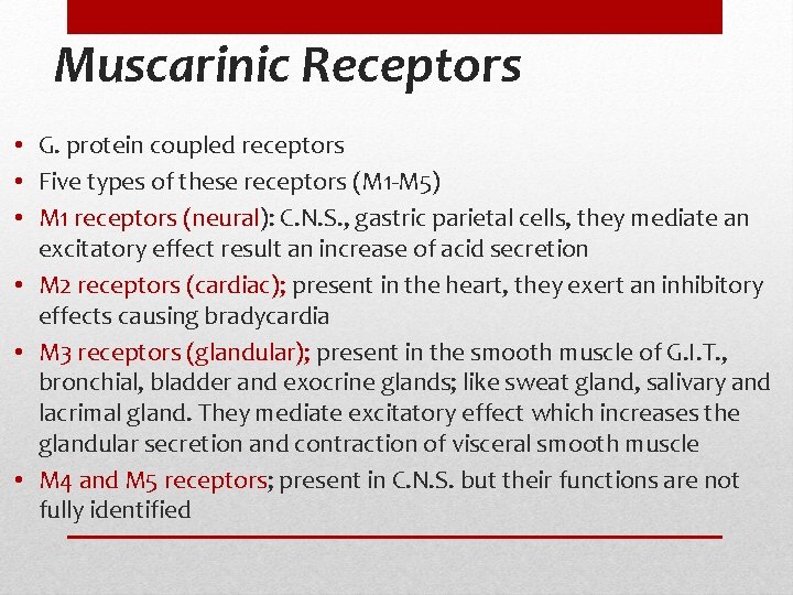 Muscarinic Receptors • G. protein coupled receptors • Five types of these receptors (M Muscarinic Receptors • G. protein coupled receptors • Five types of these receptors (M