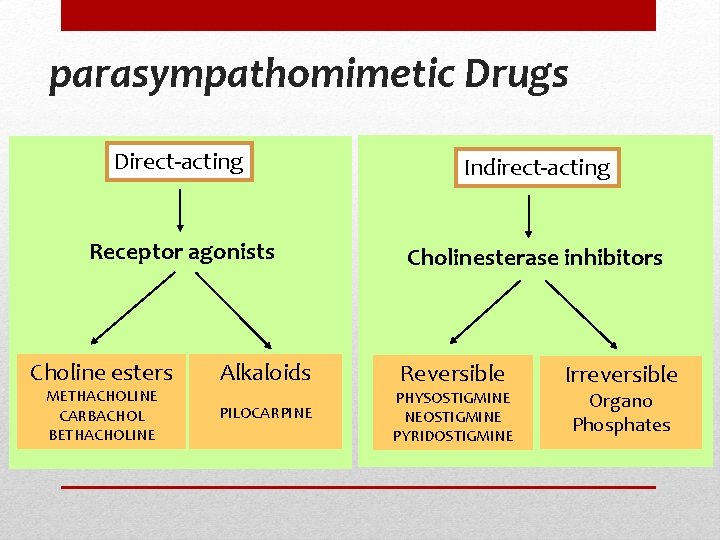 parasympathomimetic Drugs Direct-acting Indirect-acting Receptor agonists Cholinesterase inhibitors Choline esters METHACHOLINE CARBACHOL BETHACHOLINE Alkaloids