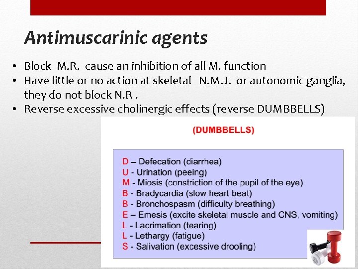 Antimuscarinic agents • Block M. R. cause an inhibition of all M. function •